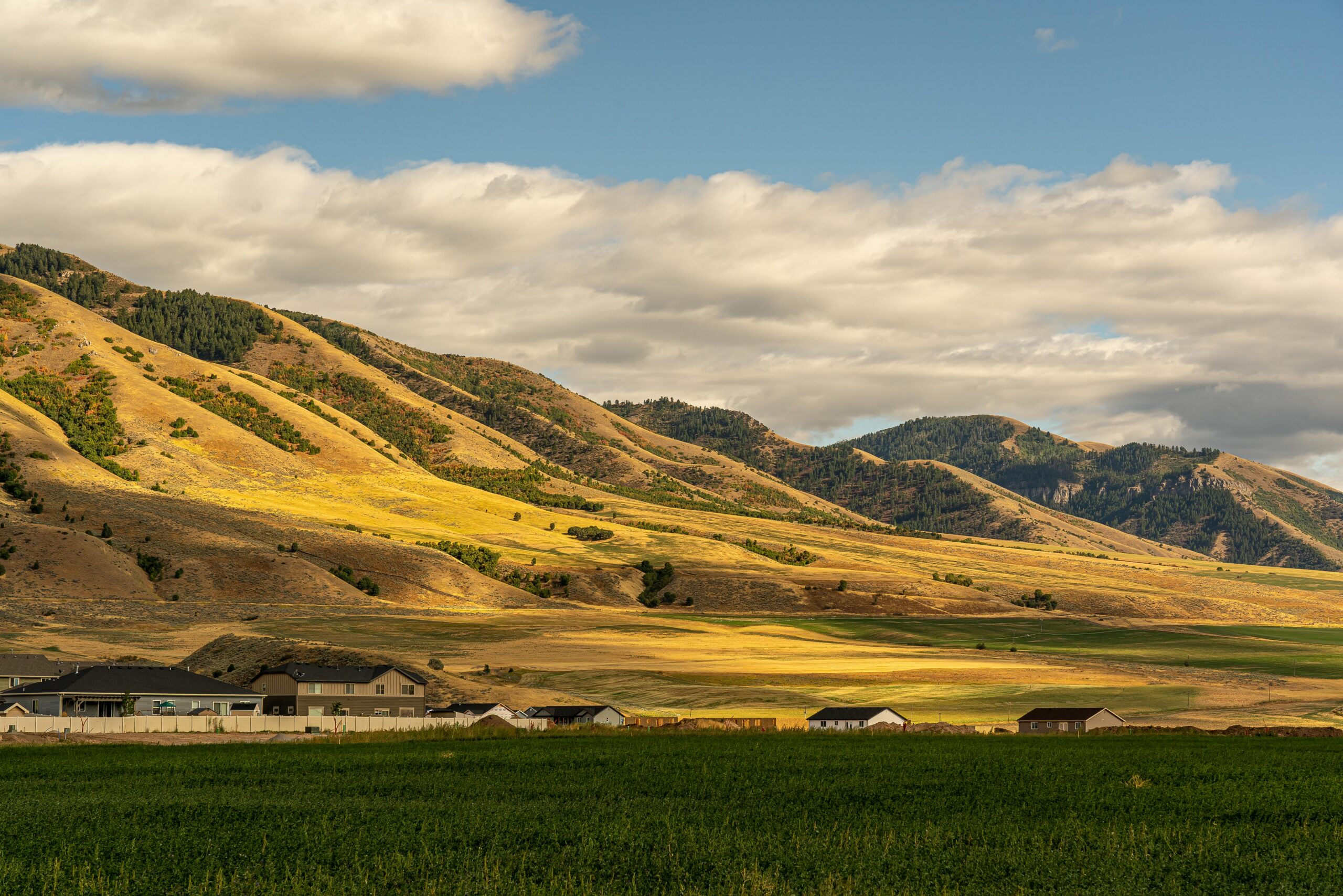 Scenic picture of Utah Valley.